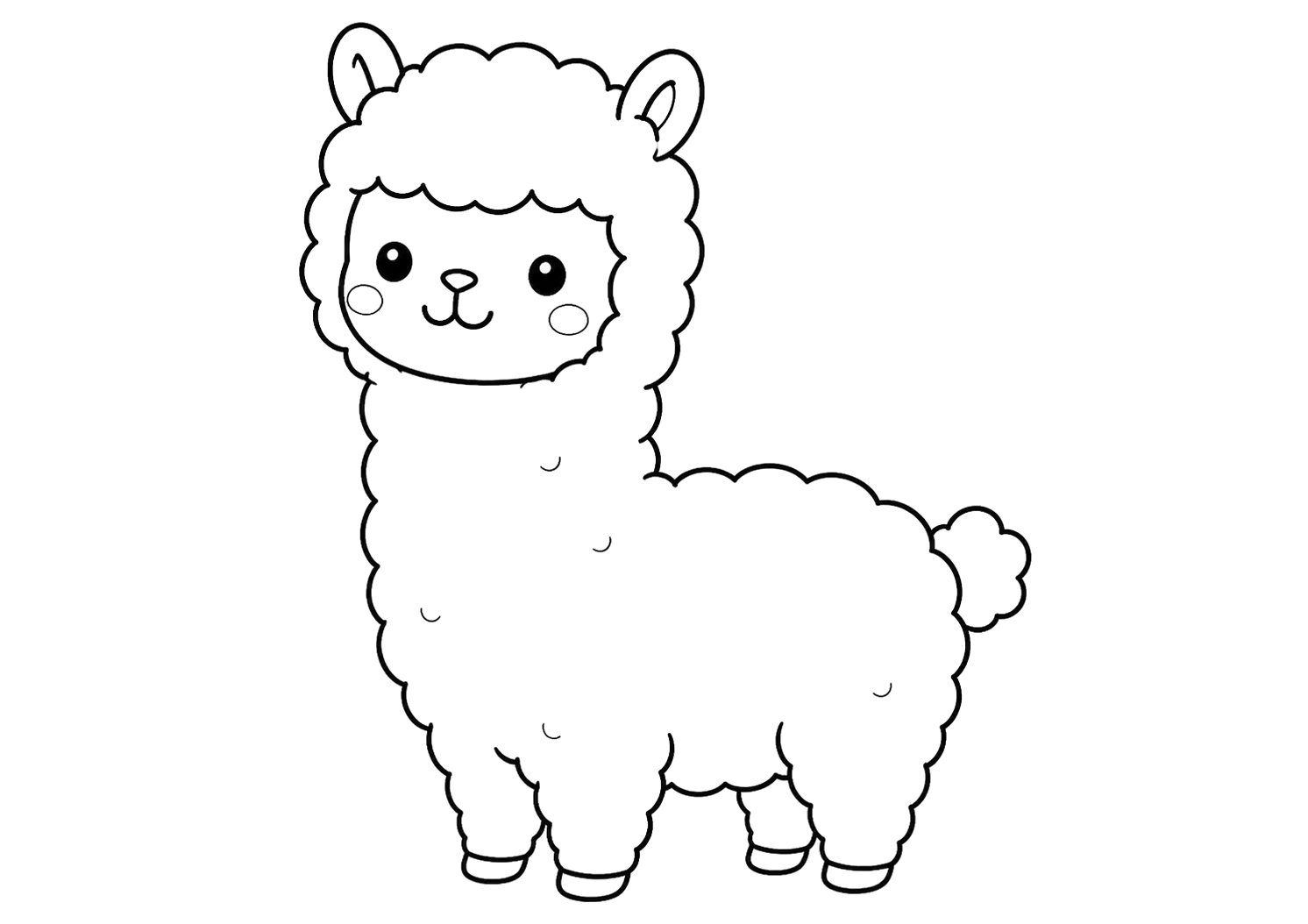かわいいアルパカ