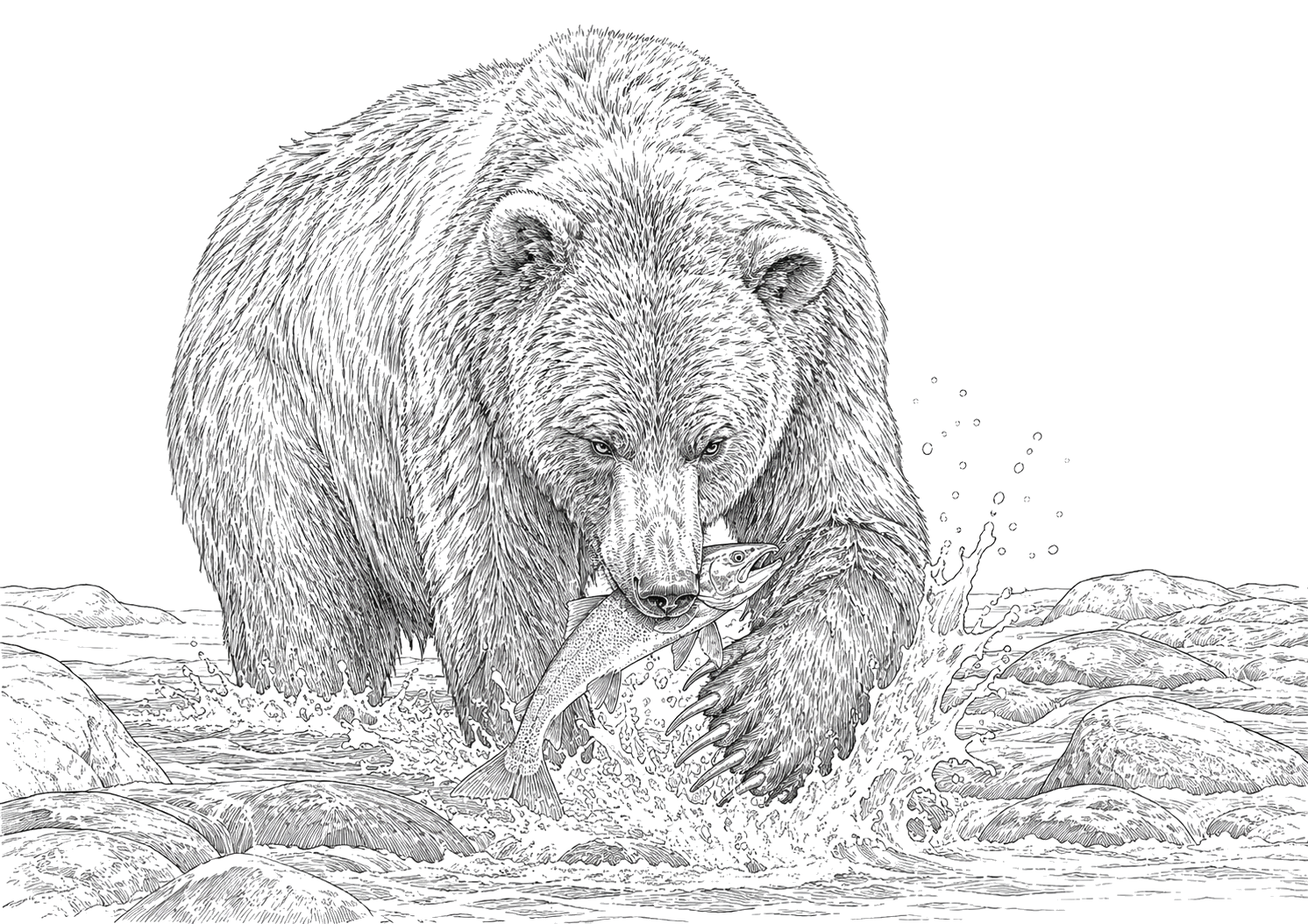 クマの細密画