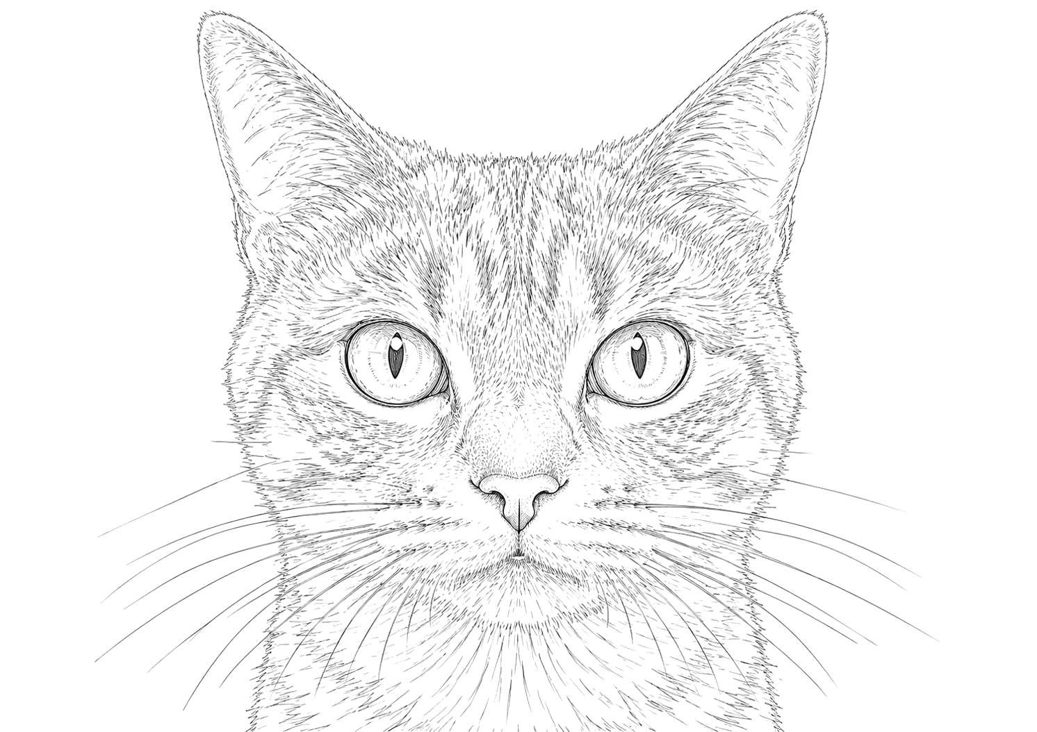 猫の細密画
