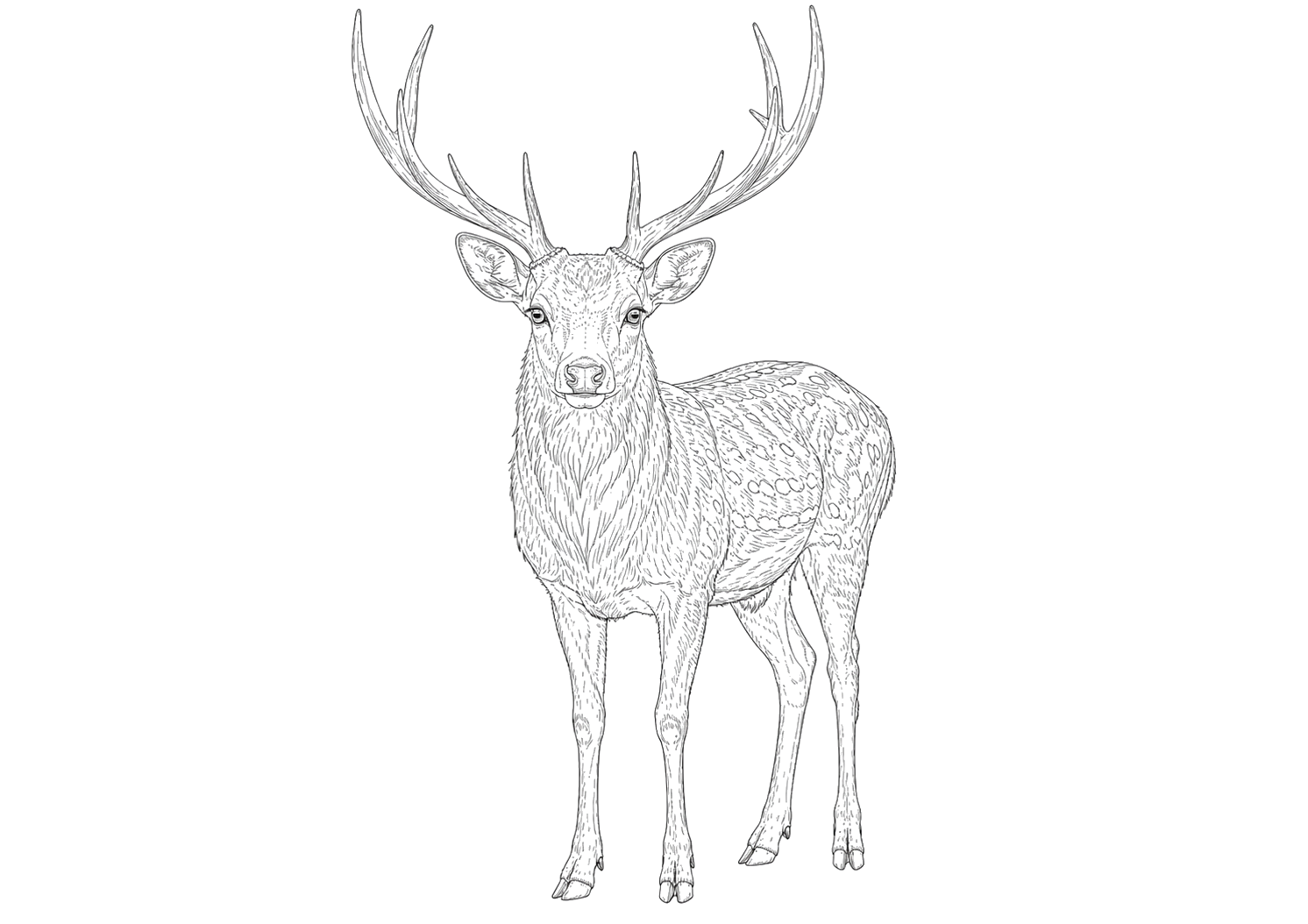 鹿の細密画