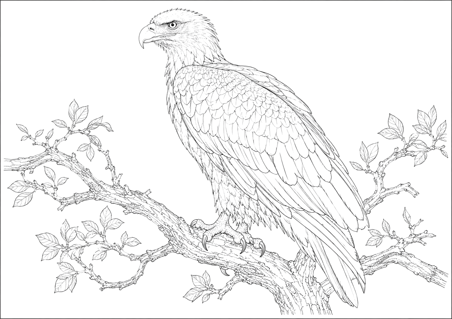 鷲の細密画