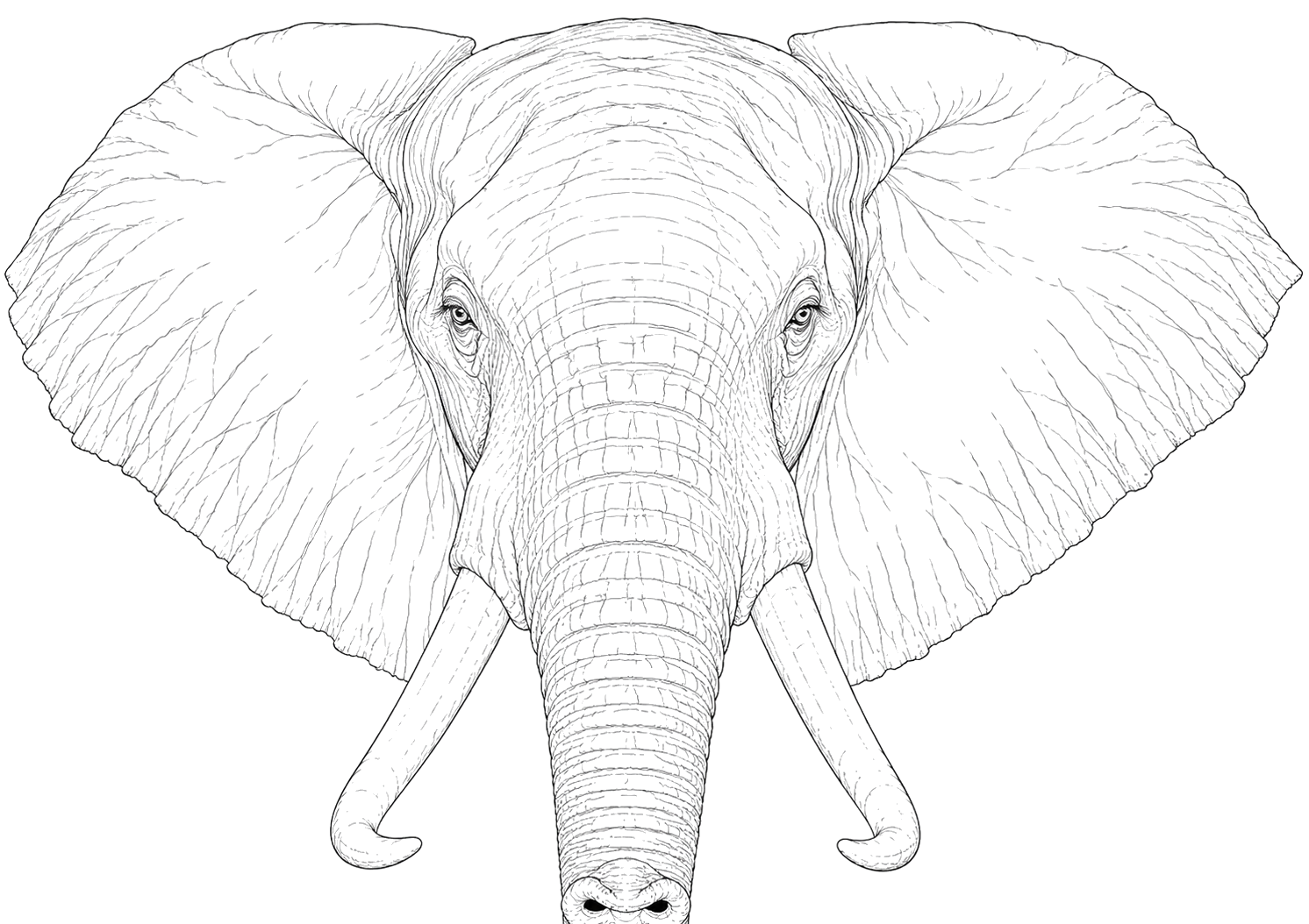 ゾウの細密画