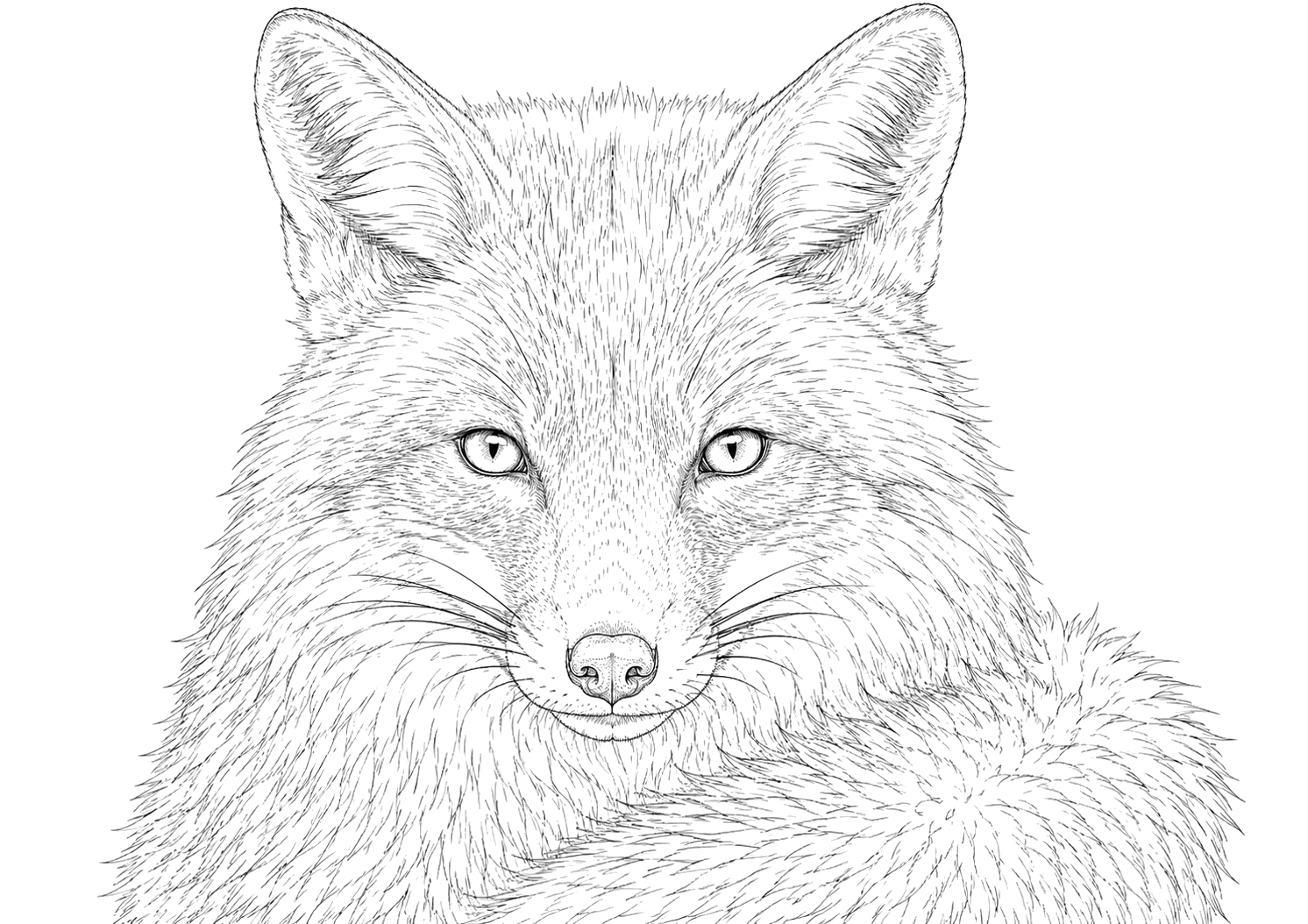 キツネの細密画