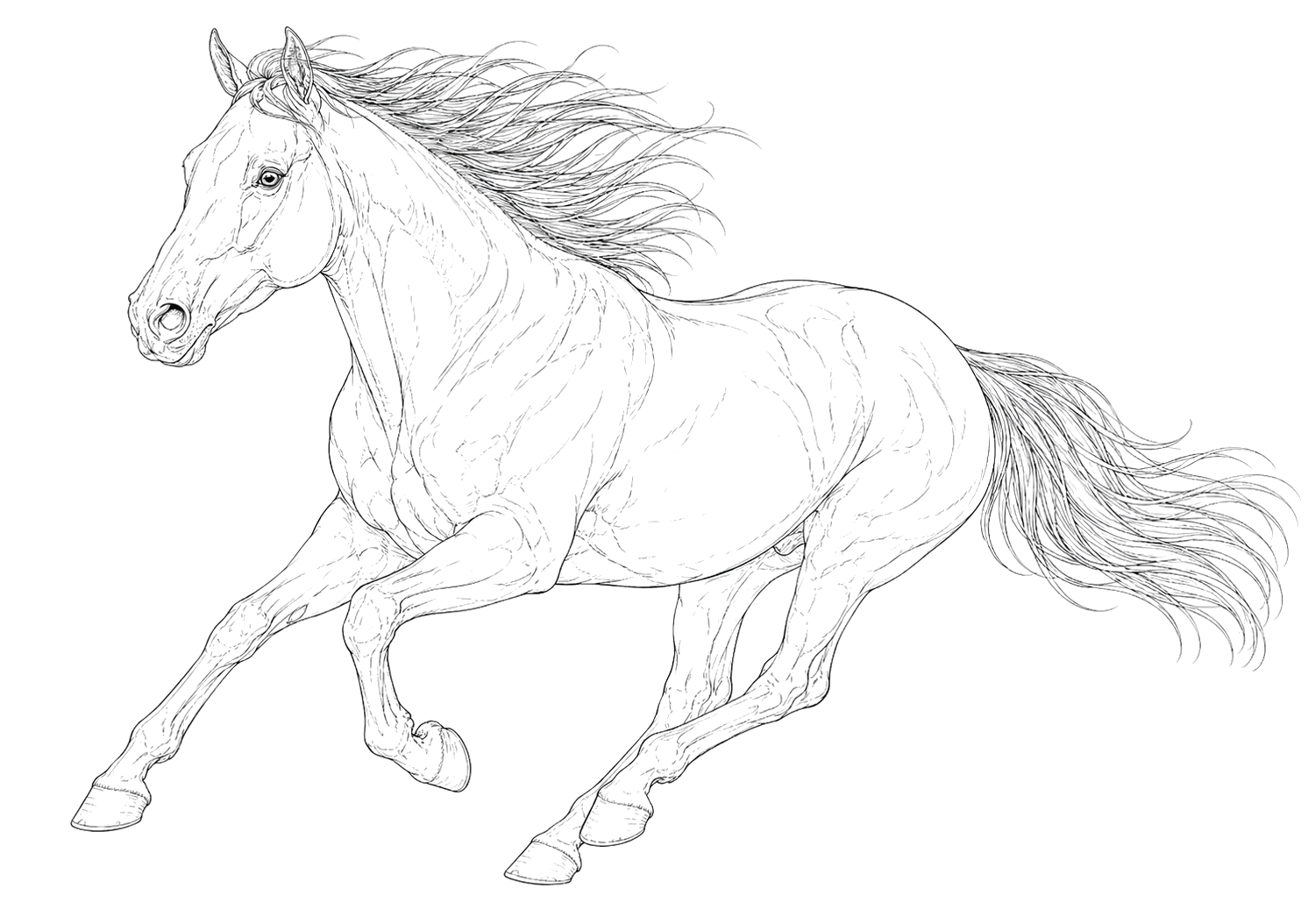 馬の細密画