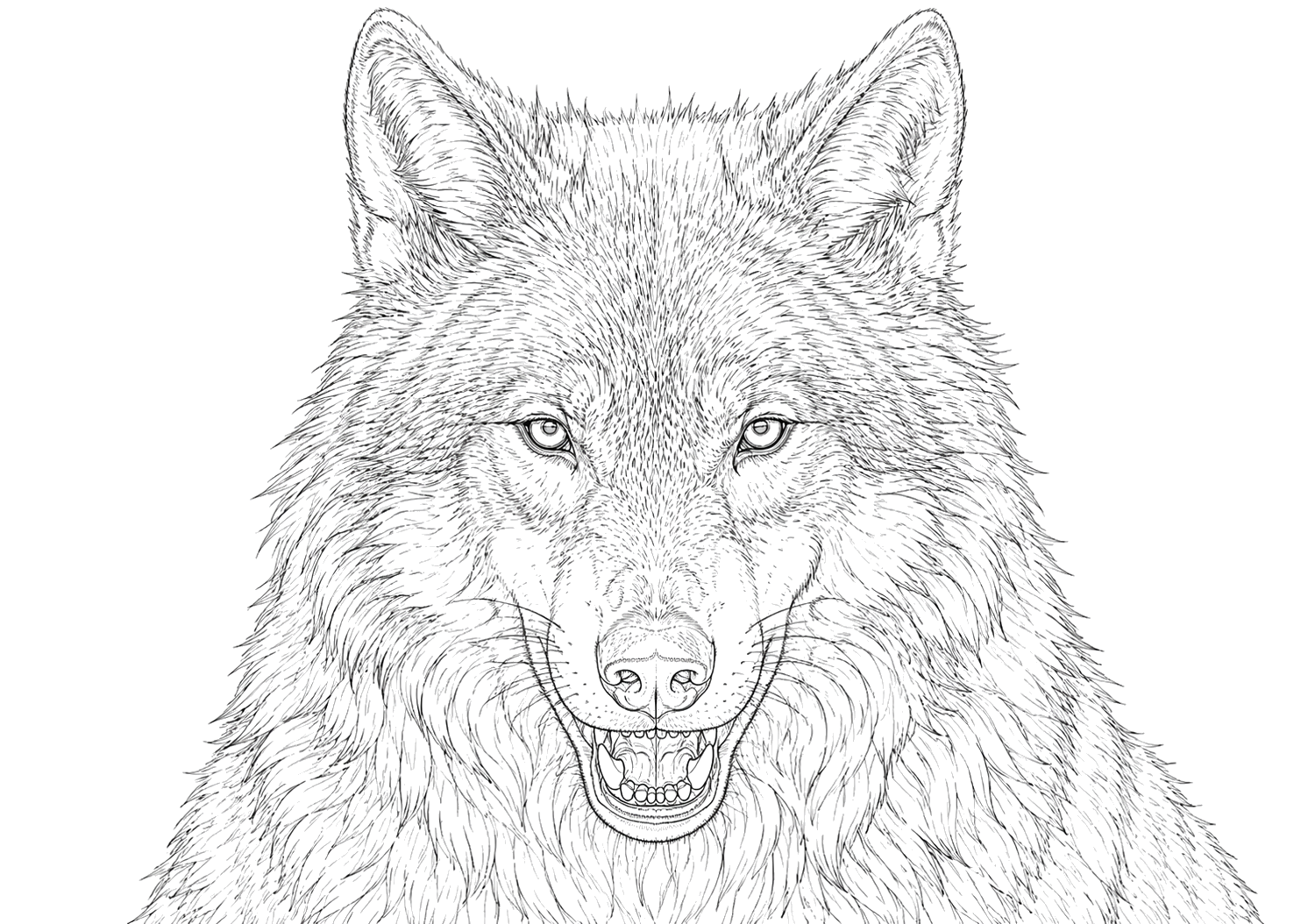 オオカミの細密画