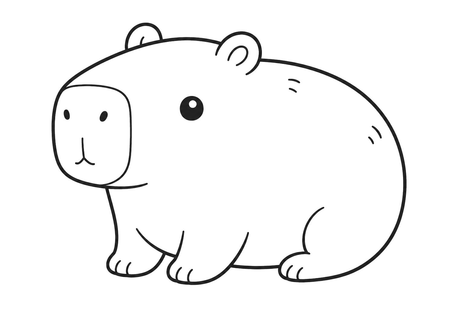 かわいいカピバラ