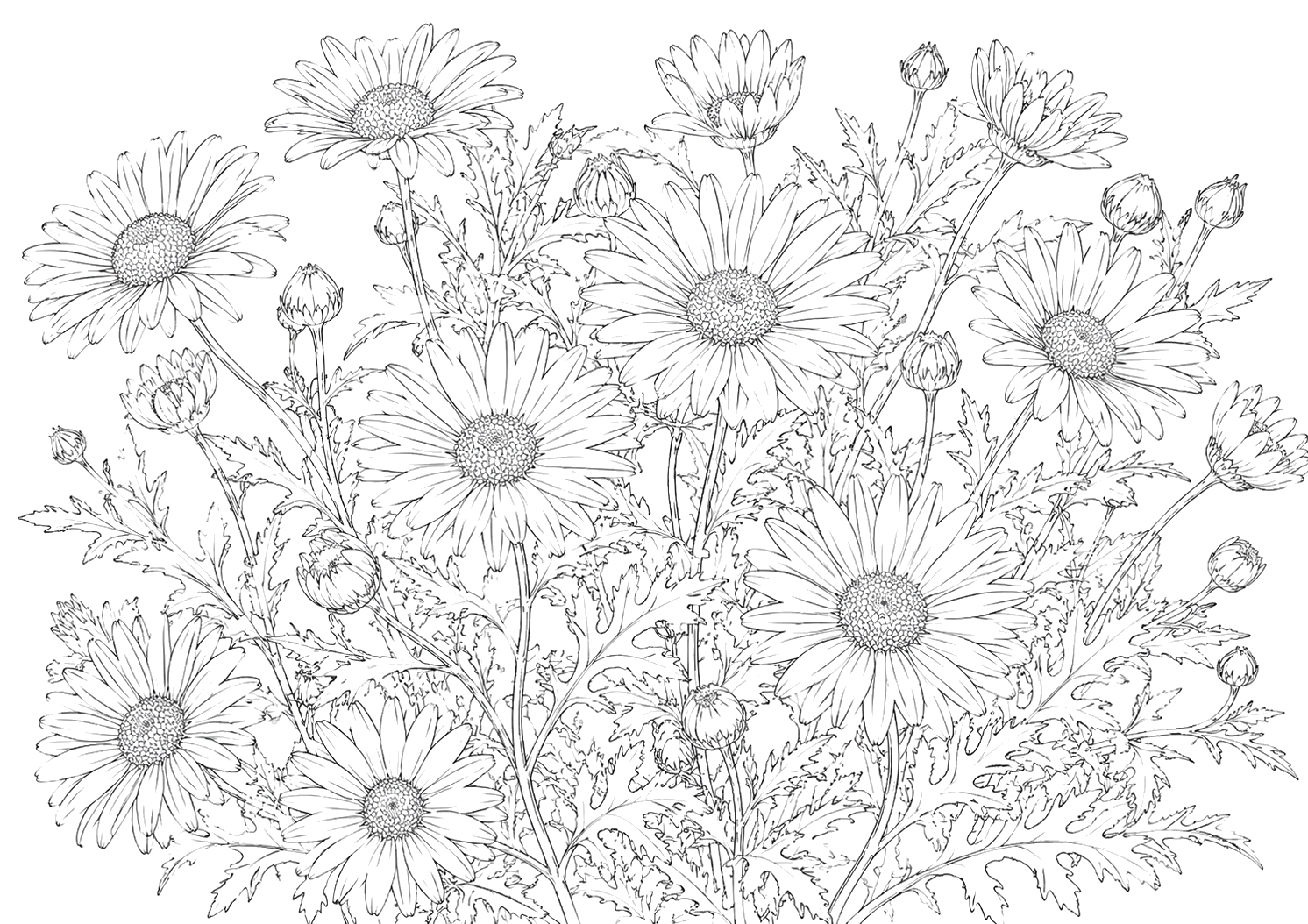 デイジーの細密画