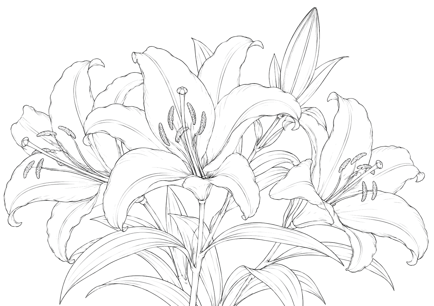 百合の細密画