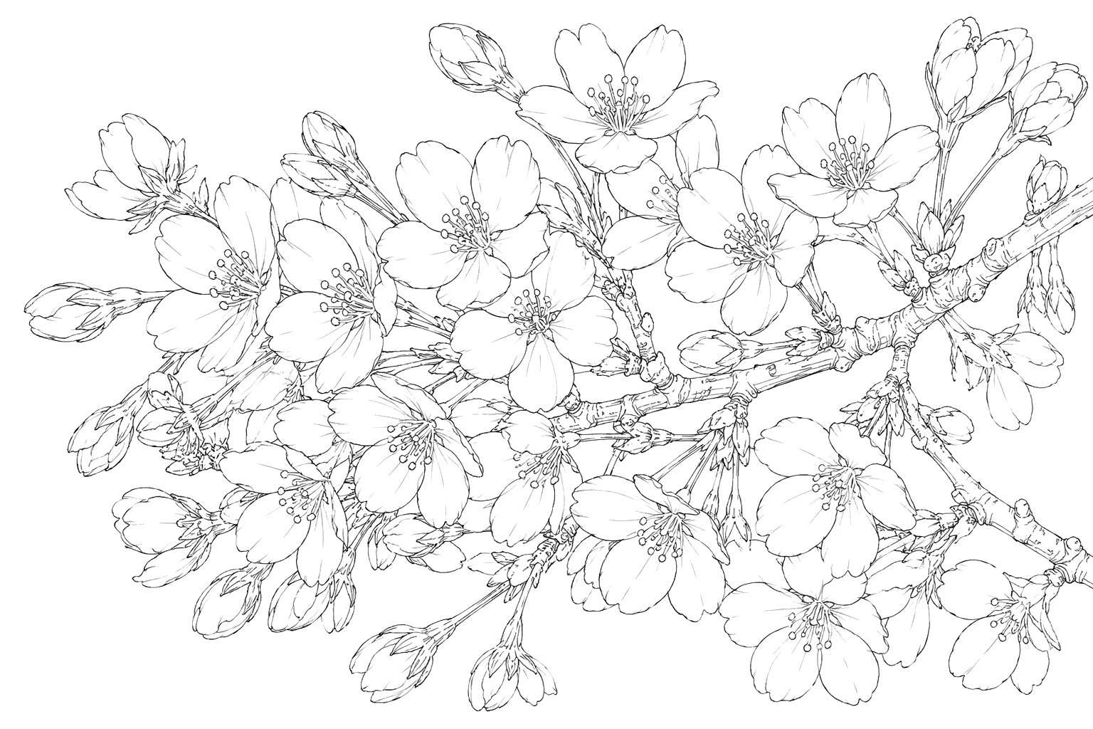 桜の細密画