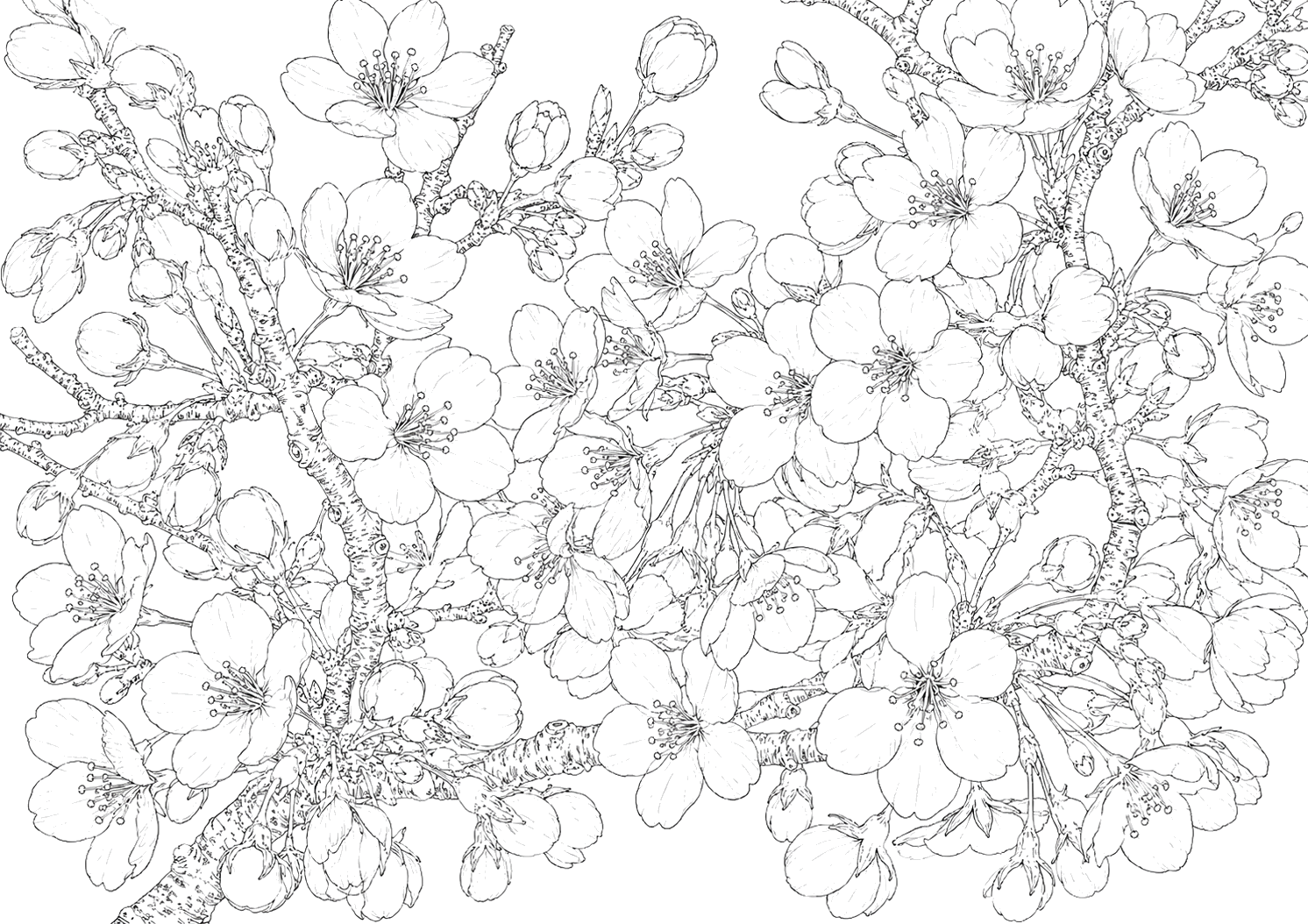 桜の細密画