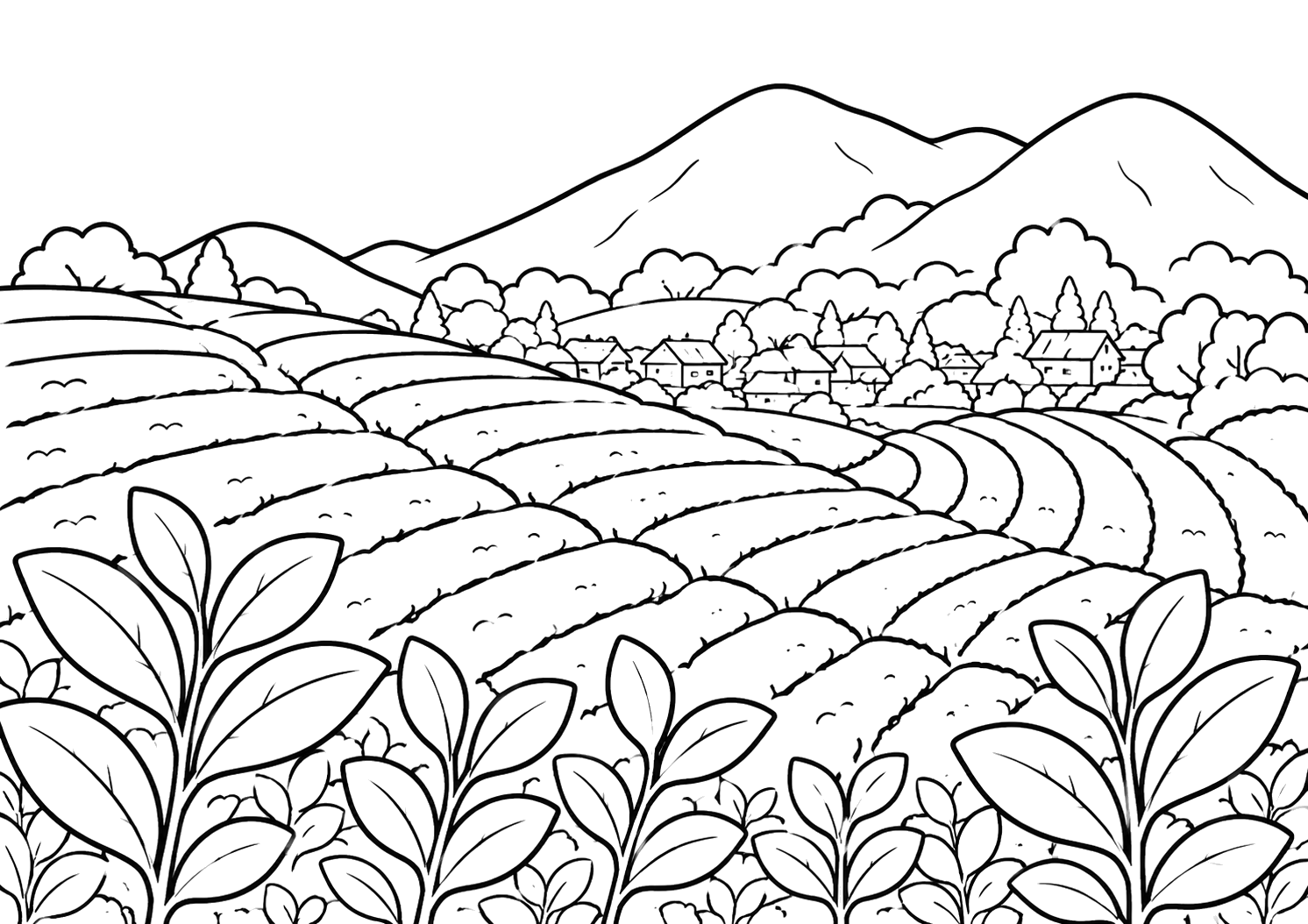 八女茶（福岡）