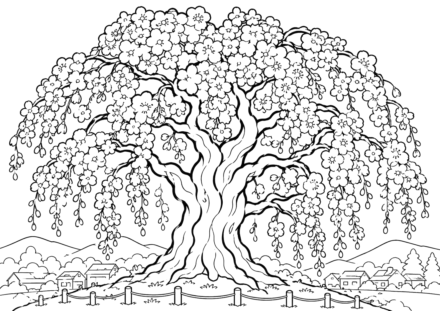 三春滝桜（福島）