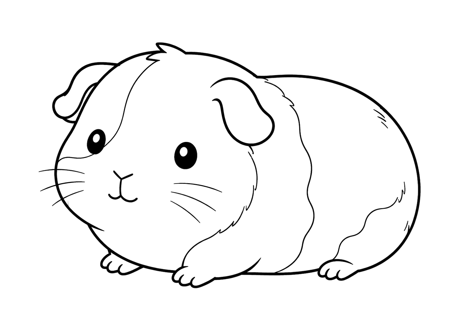 かわいいモルモット
