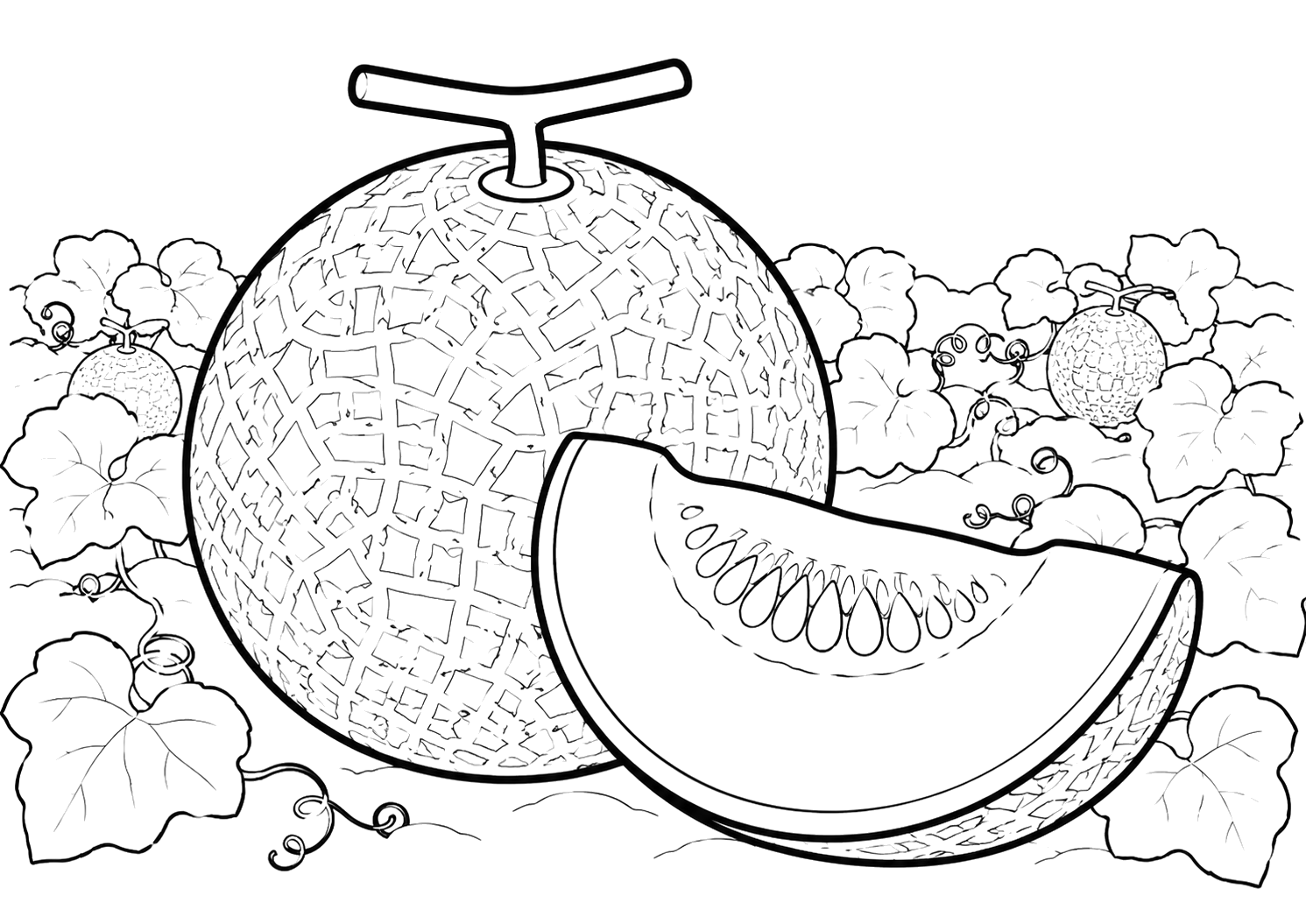 茨城メロン（茨城）