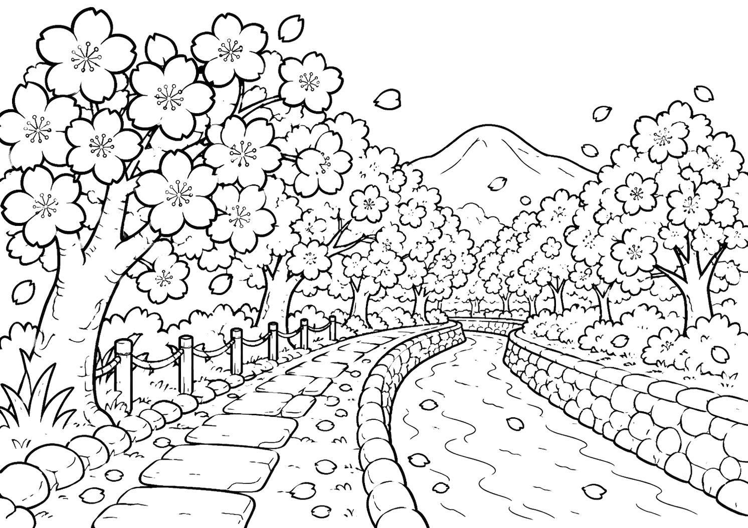 哲学の道の桜（京都）