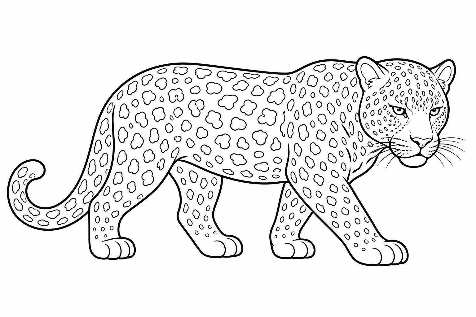 かわいいヒョウ