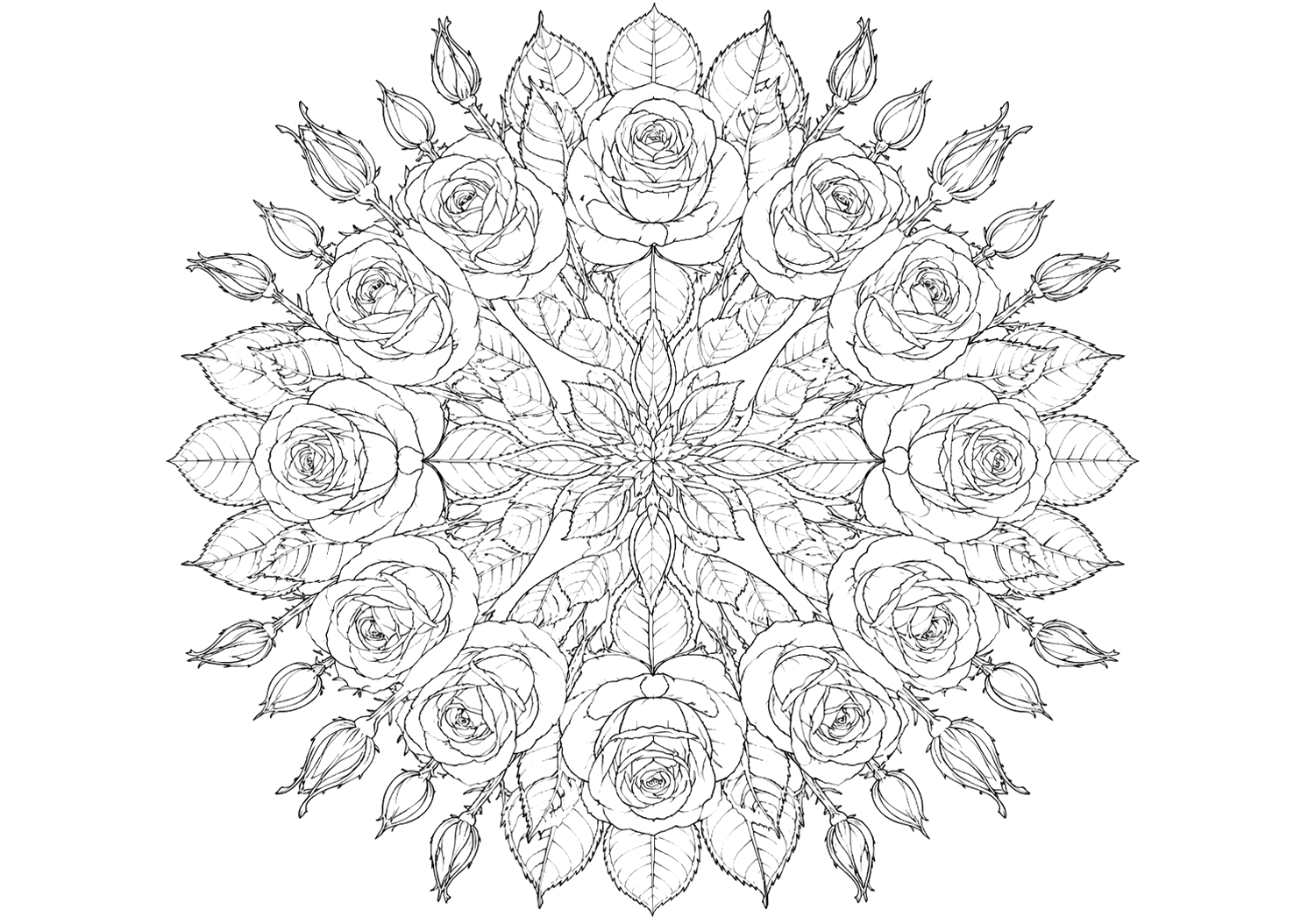 薔薇の曼荼羅
