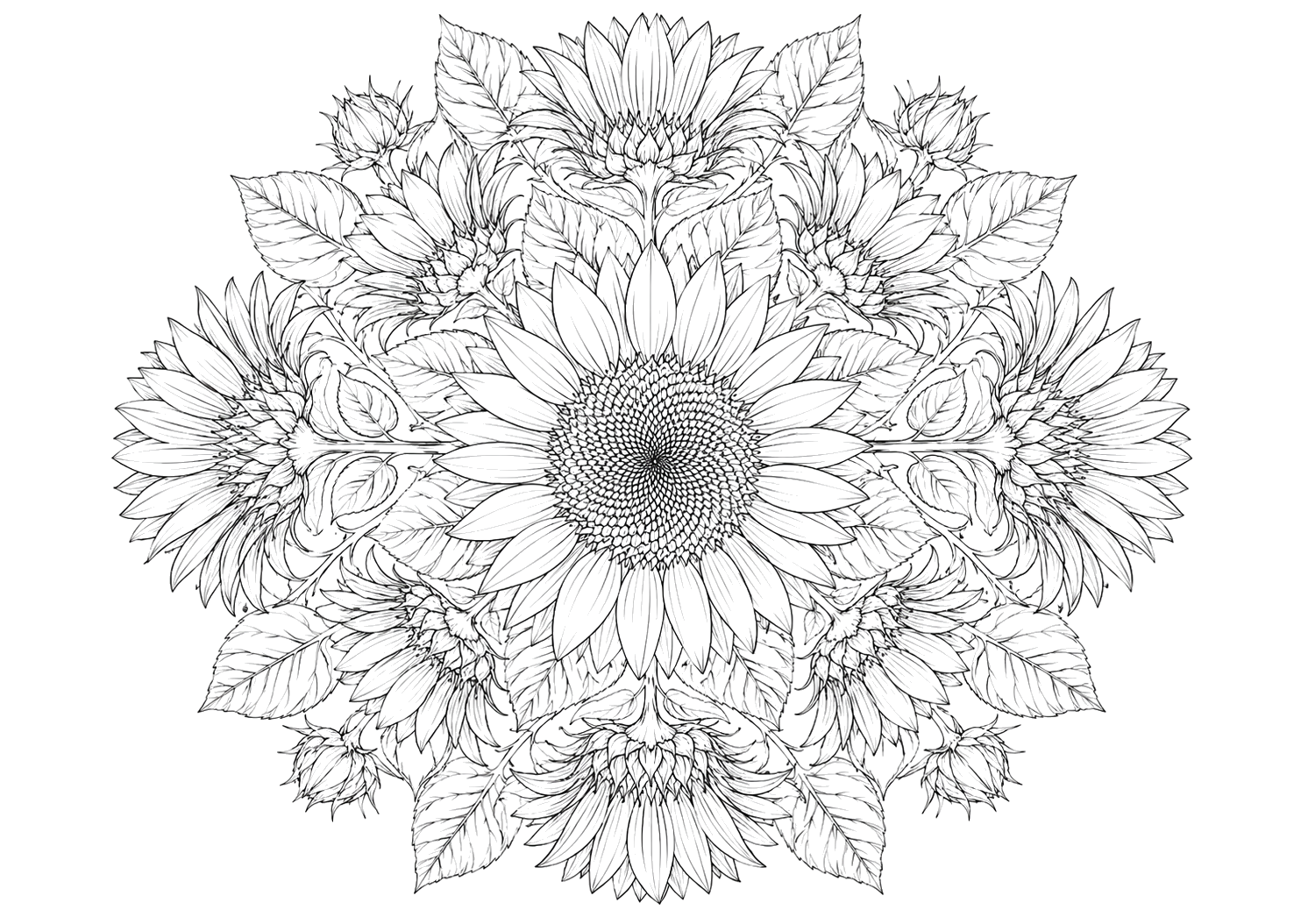ひまわりの曼荼羅
