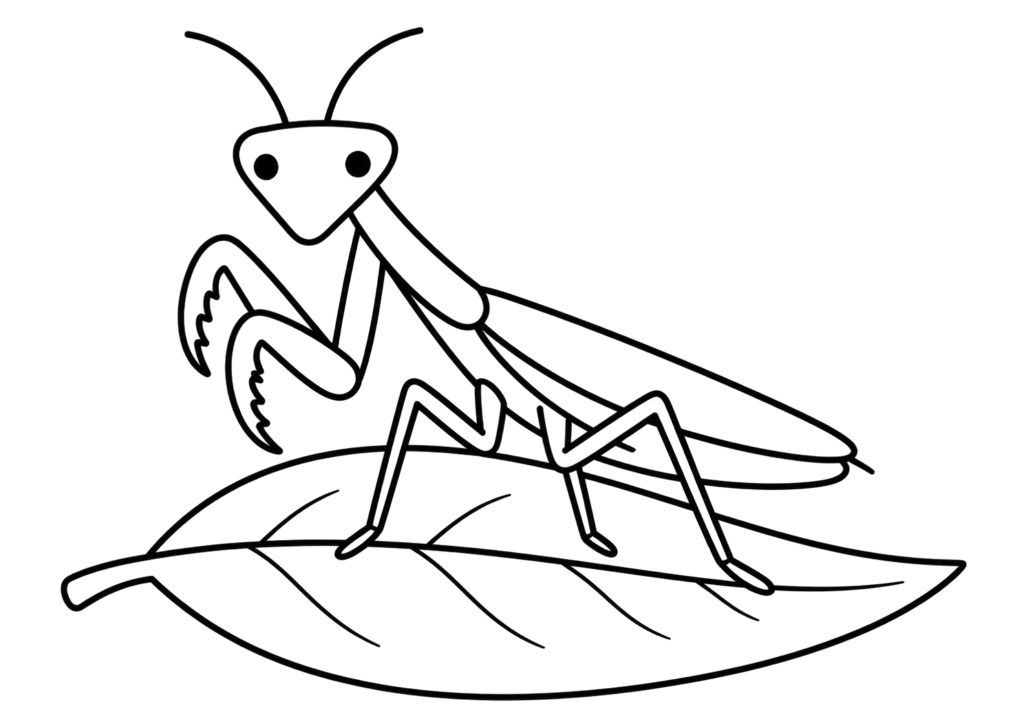 はっぱのカマキリ