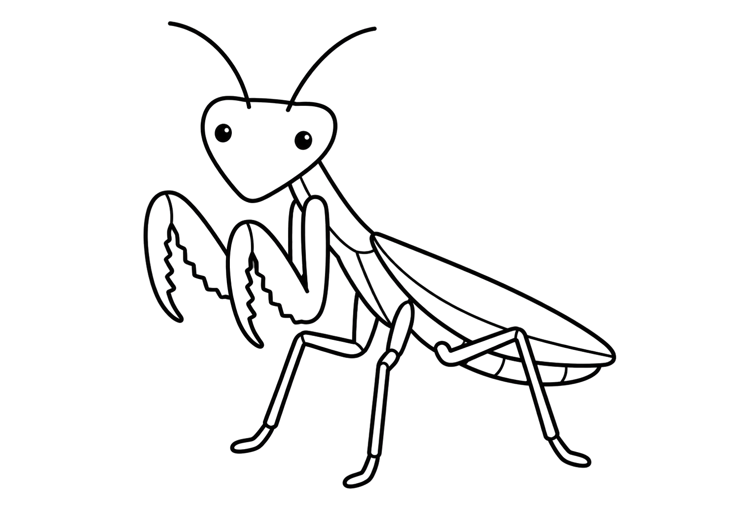 かわいいカマキリ