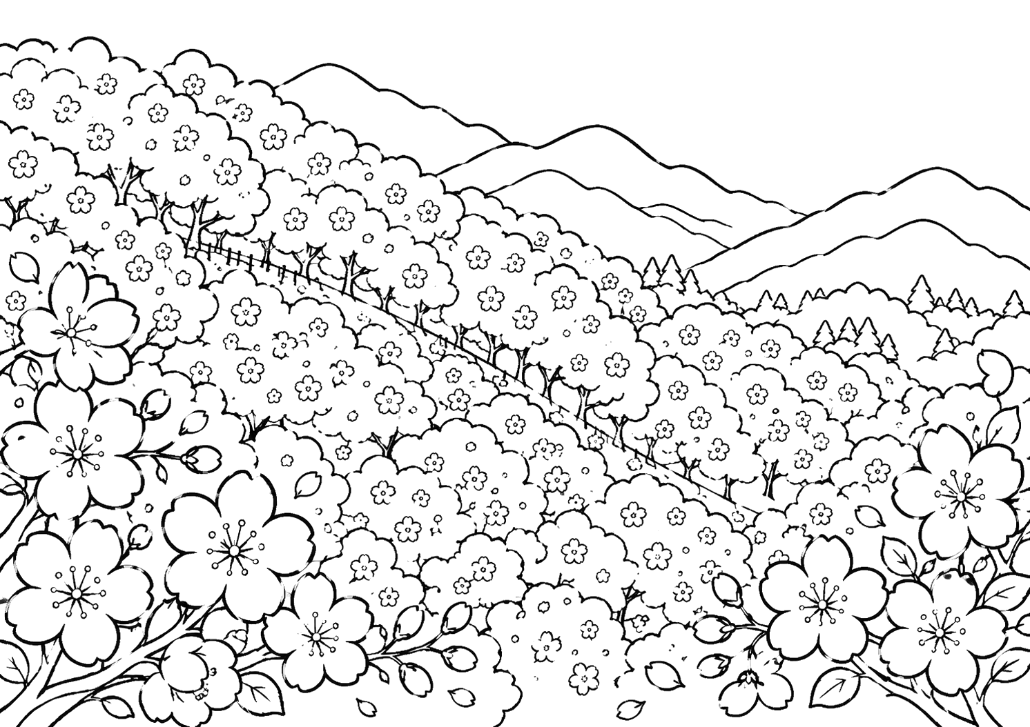 吉野の千本桜（奈良）