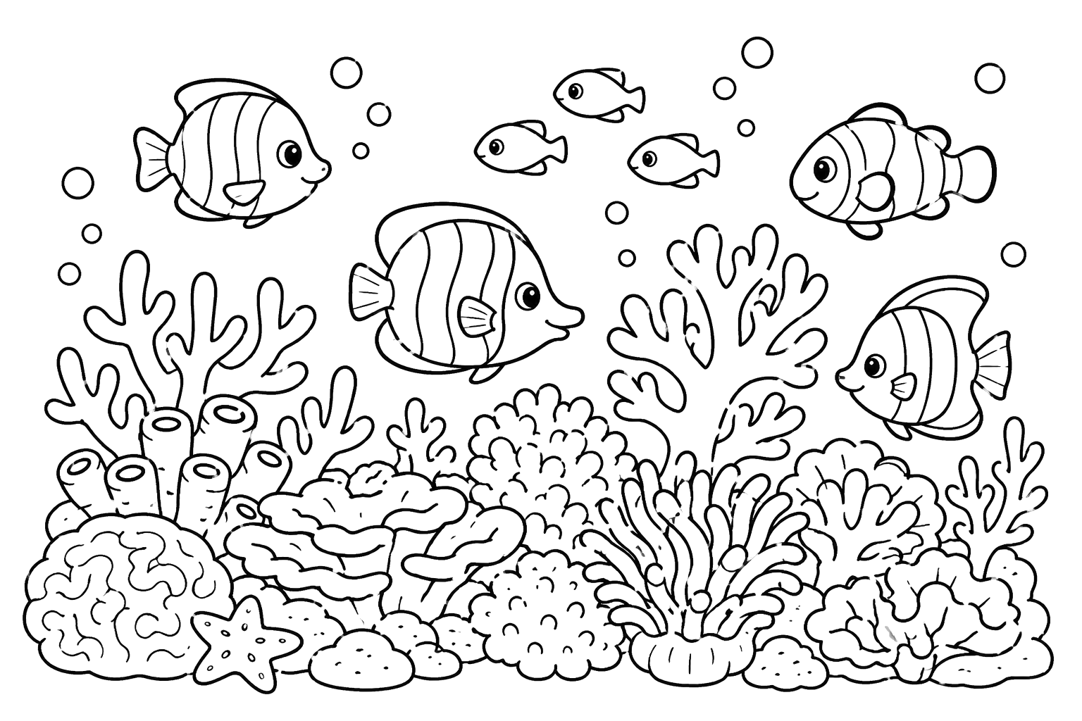 サンゴ礁（沖縄）