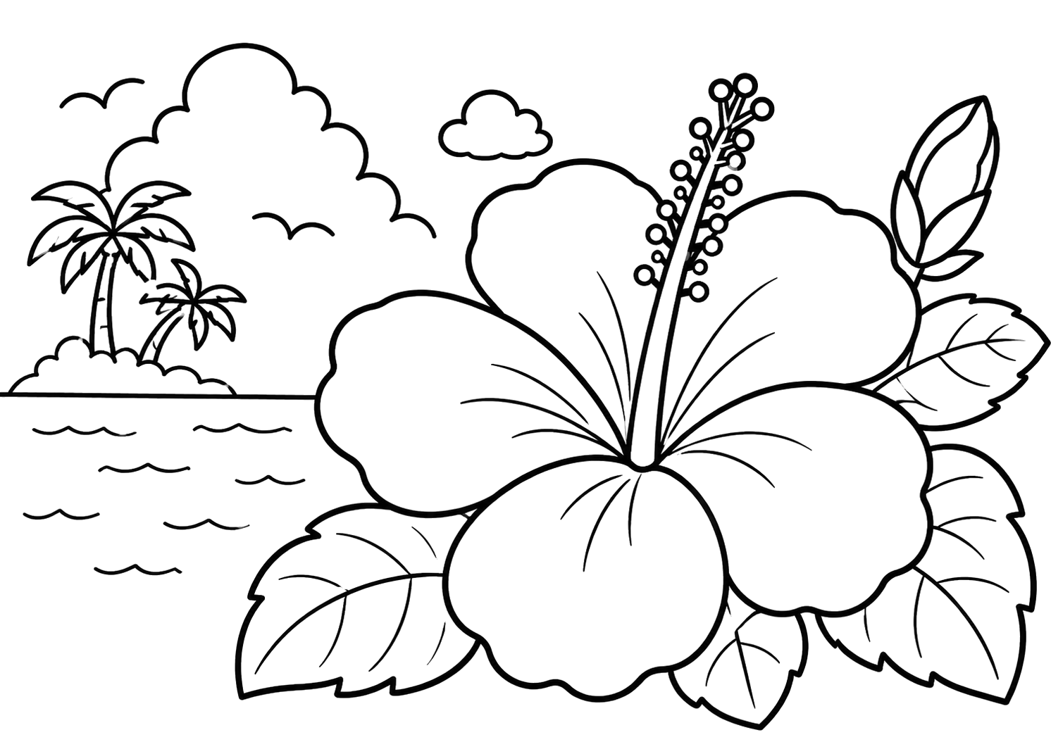 ハイビスカス（沖縄）