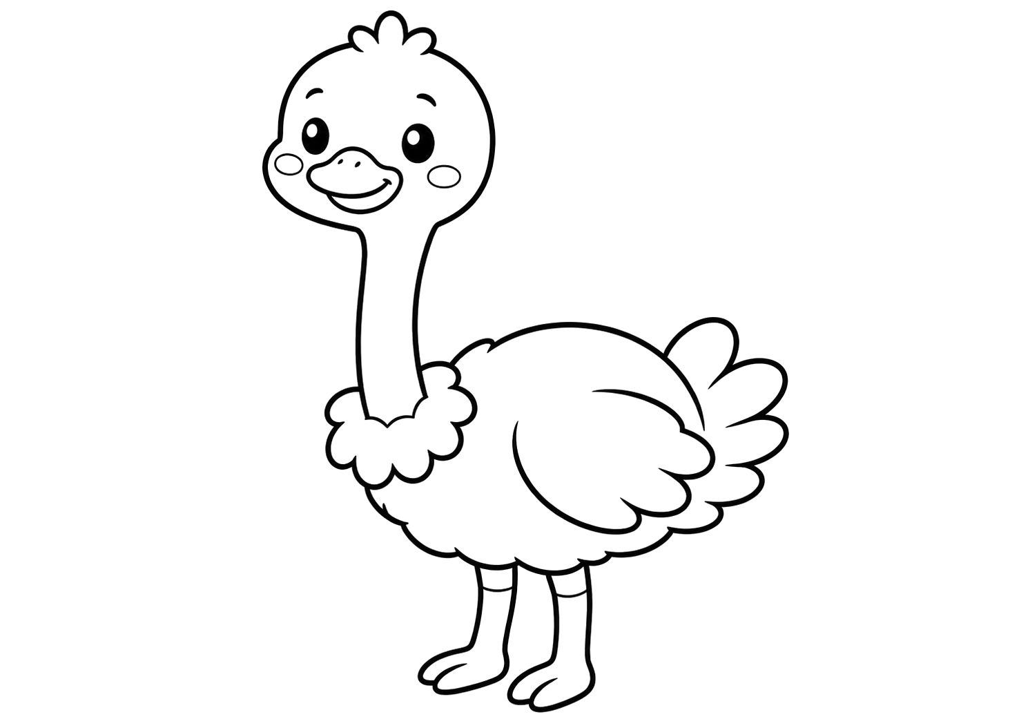 かわいいダチョウ