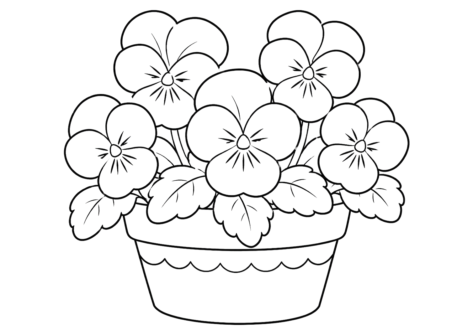 パンジーのうえきばち