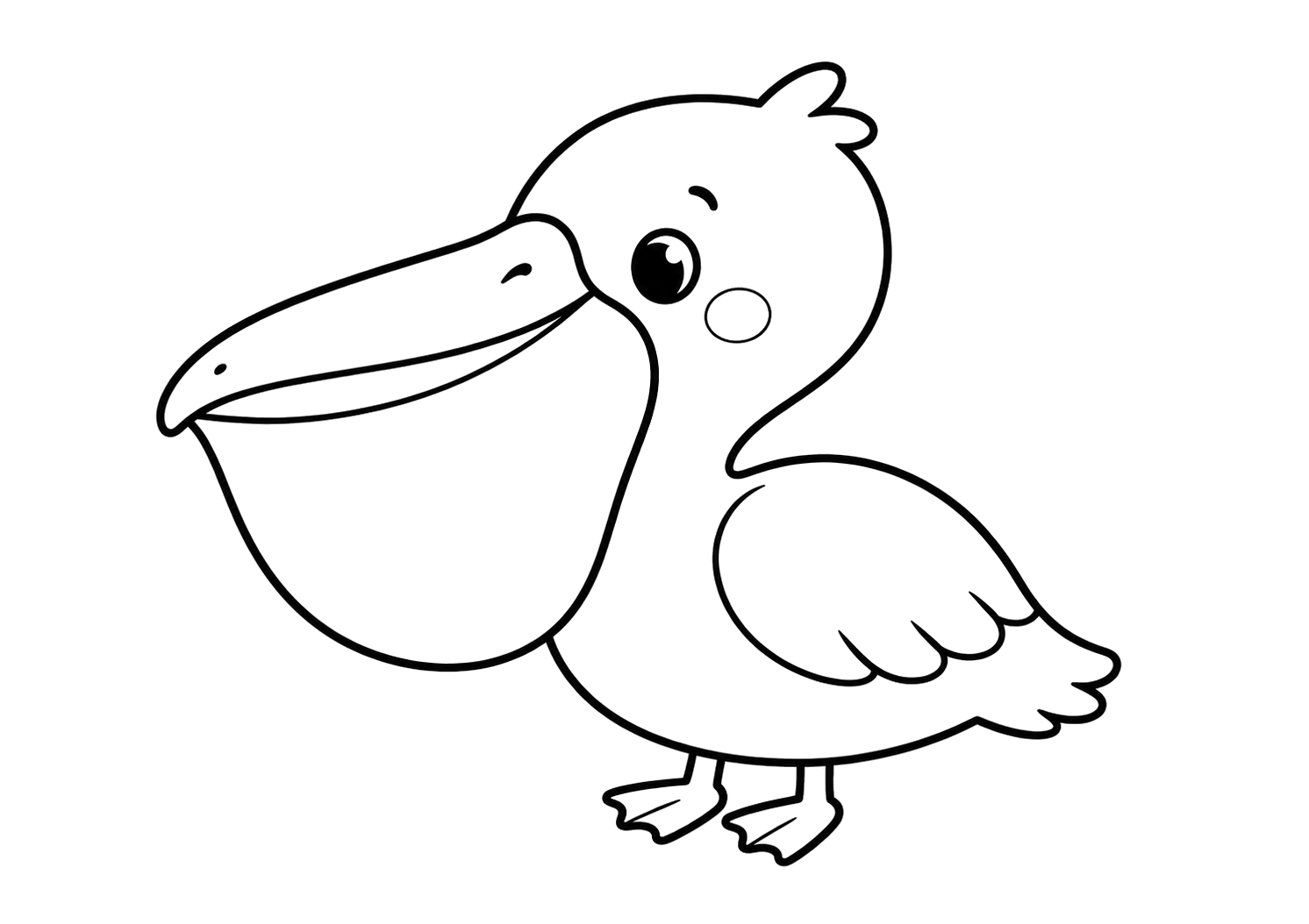 かわいいペリカン