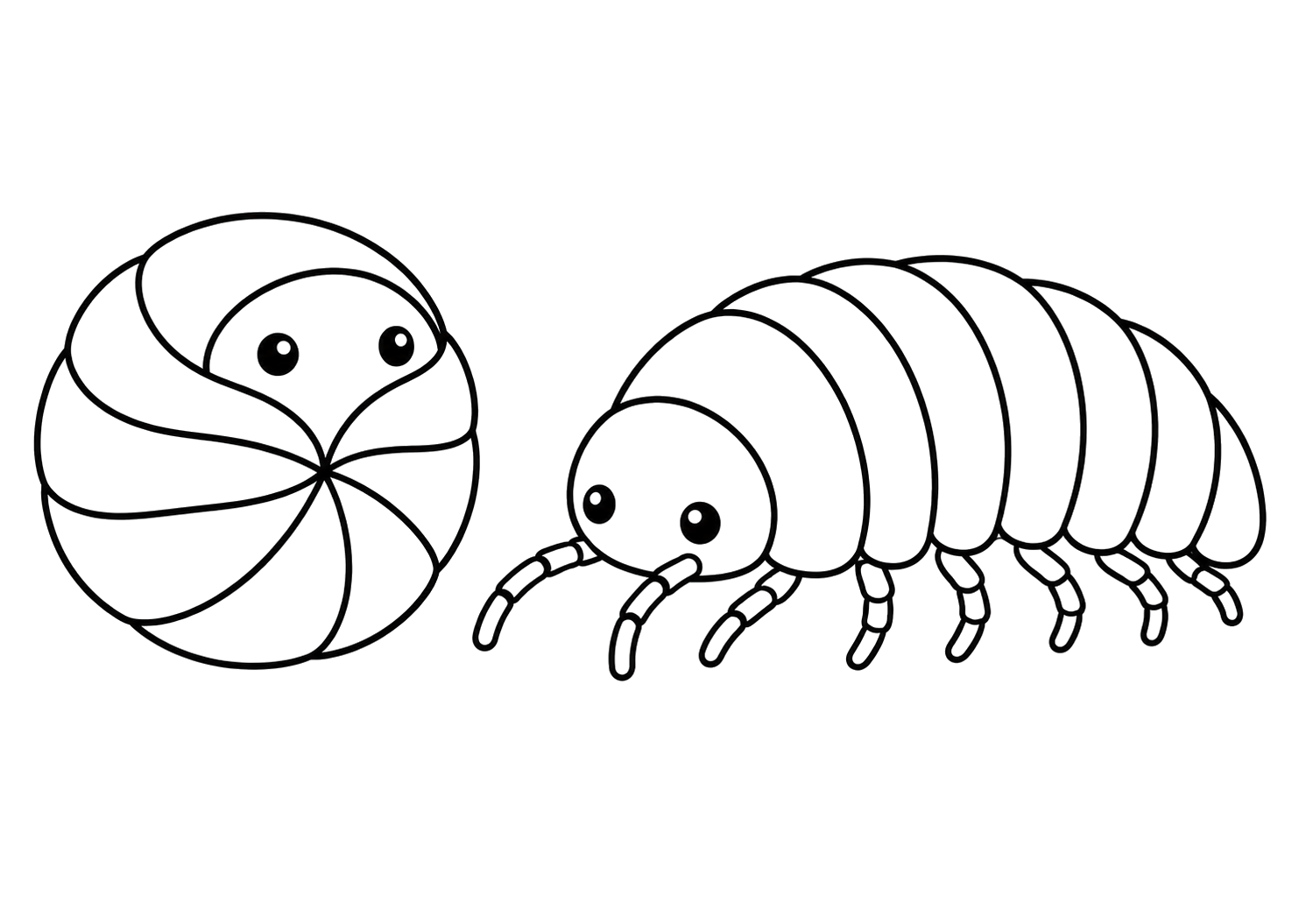 まるまるダンゴムシ