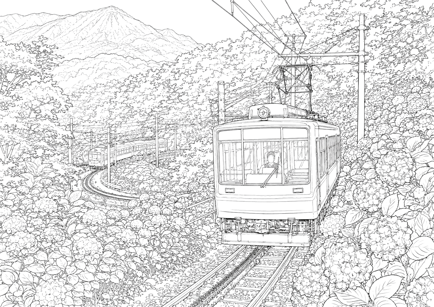 箱根登山鉄道と紫陽花（こまかい）