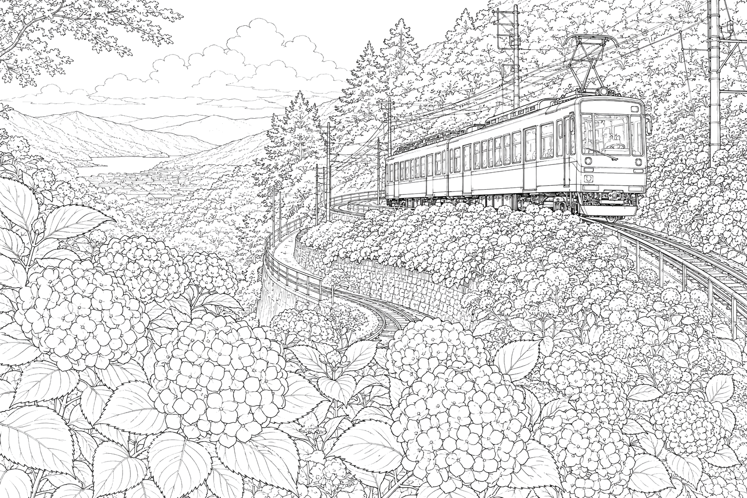 箱根登山鉄道と紫陽花(細密)