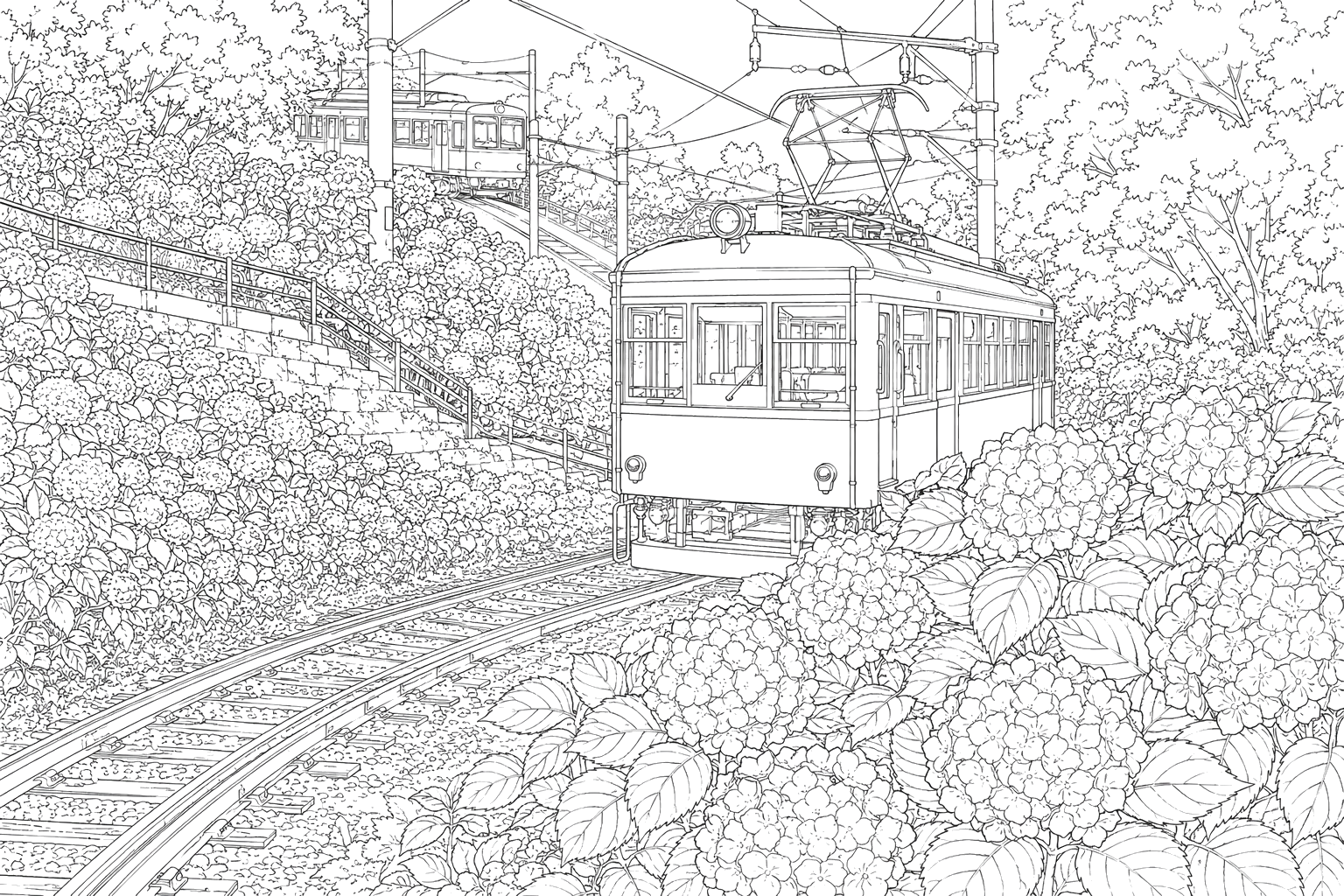 紫陽花と登山電車（やさしい）
