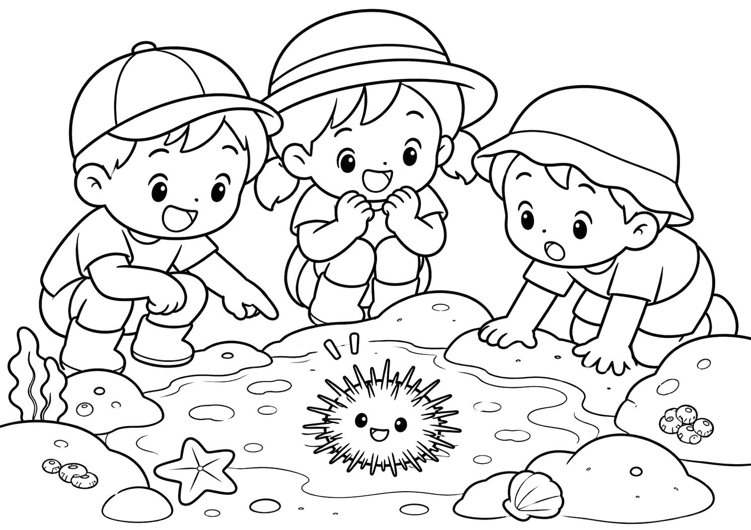ウニをみつけた！