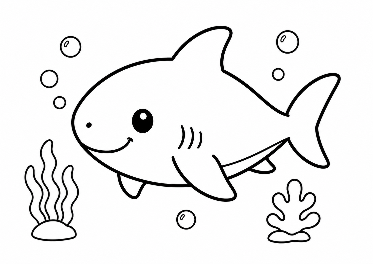 サメと海の中